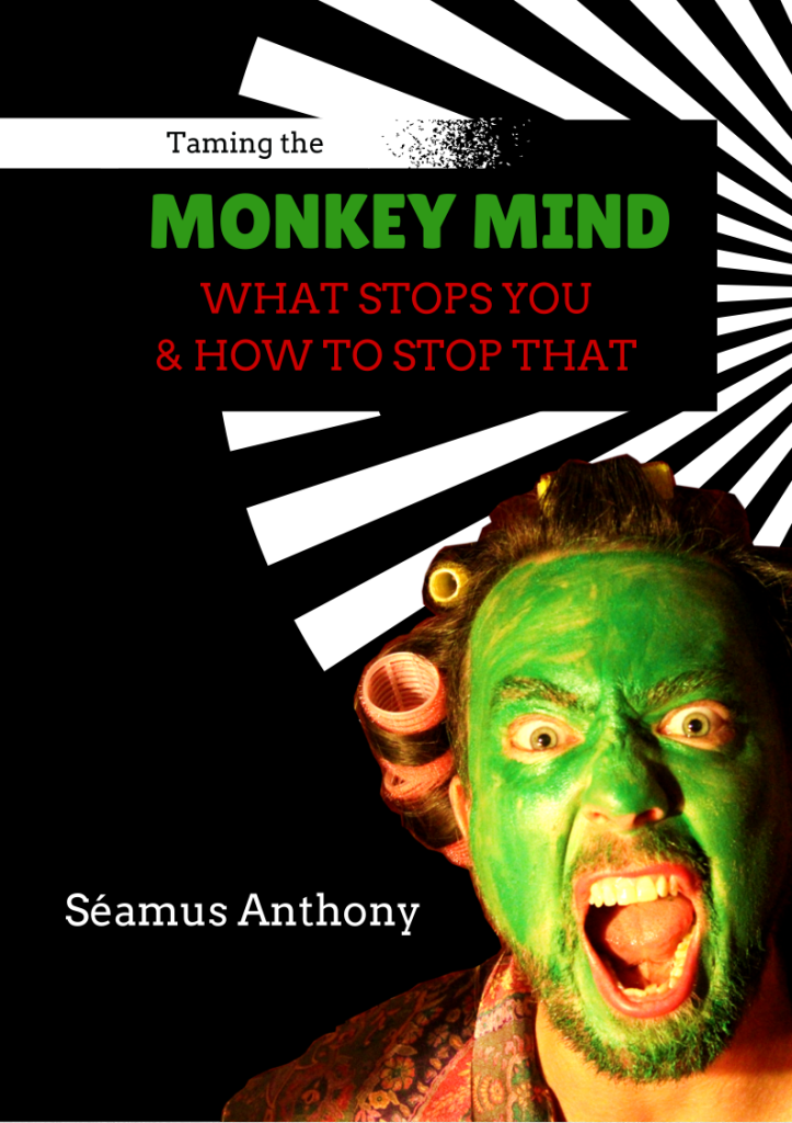 Monkey Mind Cover 7