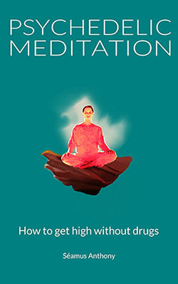 Get the Psychedelic meditation E-Book